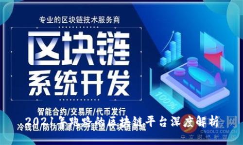 2021年跑路的区块链平台深度解析