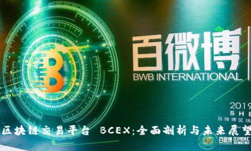 区块链交易平台 BCEX：全面剖析与未来展望