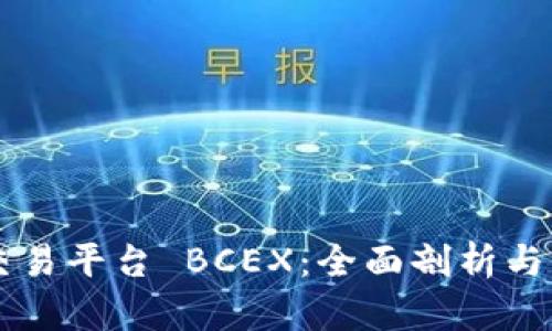 区块链交易平台 BCEX：全面剖析与未来展望