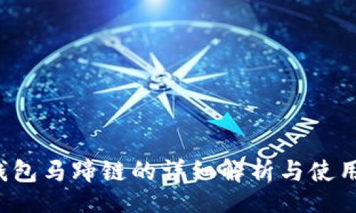 div
t p钱包马蹄链的详细解析与使用指南