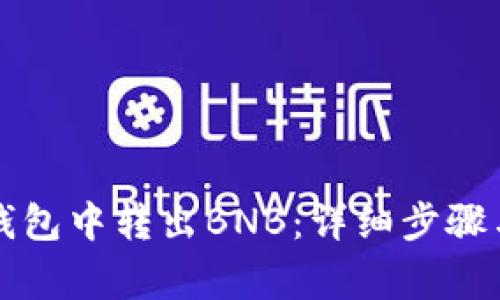 如何在TP钱包中转出BNB：详细步骤与注意事项